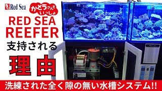 【海水魚水槽 フルセット】レッドシー リーファー が支持される理由を完全解説。周辺機器をシステマチックに管理し最小限の手間で最大限の安心を獲得するREDSEA REEFER その人気の秘密に迫ります。 [upl. by Eelyab]