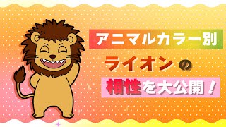 【動物占い】ライオンのアニマルカラー別相性を大公開！ [upl. by Helbonna]