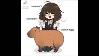 Capybara coconut [upl. by Eus]