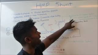 HMP Shunt HIGH YIELD USMLE MADE EASY [upl. by Pangaro]