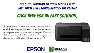 Epson L3110 printer head cleaning [upl. by Dukey]