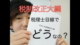 【速報】令和6年度（2024年度）税制税制改正大綱を税理士目線で解説 [upl. by Gavan]