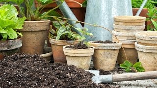 How to Plant in Pots [upl. by Henry]