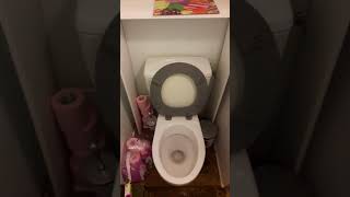 Problème découlement des eaux usées dans les toilettes [upl. by Kent872]