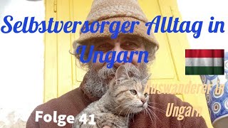 Selbstversorger Alltag in Ungarn41 Auswanderer in Ungarn [upl. by Oinotnaocram]