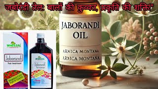 Jaborandi Hair Oil ॥ Wheezal Jaborandi तेल के फ़ायदे और इस्तेमाल करने का सही तरीका ॥ [upl. by Pru]