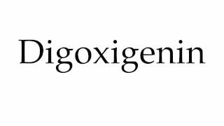 How to Pronounce Digoxigenin [upl. by Leihcim65]