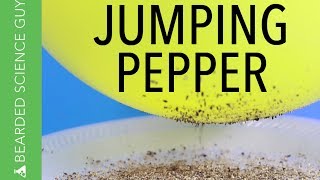 Jumping Pepper Science Experiment Physics [upl. by Ahsile]