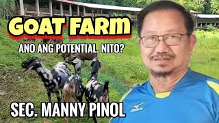 Sec MANNY PIÑOL GOAT FARM INDUSTRY PAPATOK SA Pinas [upl. by Maurizia]