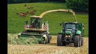 Ensilage de méteil  Krone BigX V8  Mise en boudin  SARL Pantier [upl. by Direj779]