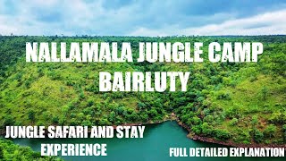 Nallamala Jungle Camp Bairluty  Jungle Safari And Stay Experience  Full Detailed Explanation [upl. by Yerac]