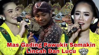 Mas Gading Pawukir Semakin Keren Dan Lucu [upl. by Webber]