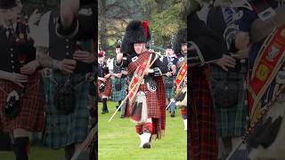 drummajor leads massed pipesanddrums display marchingbands during 2023 Dufftown Games shorts [upl. by Cristen514]