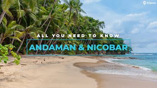 Andaman And Nicobar Islands Best Hotels Best Beaches Things To Do Food  Tripoto [upl. by Enilorac625]