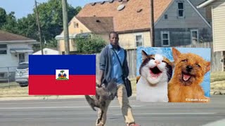 Comen gatos y perros los haitianos [upl. by Siocnarf519]