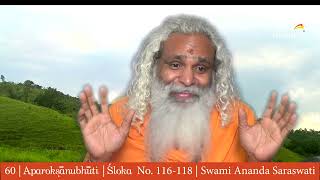 60  Aparokshanubhuti  Swami Ananda Saraswati  Verse No 116 to 118  New Vision  Pranayama [upl. by Yttiy191]