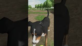 Purebred Good Boy in FS22 fs22 farmingsimulator22 farming farmer simfarmer dog doghouse [upl. by Ravi557]