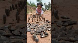 Survival Skills Single mom with a lot of oyster in forest survival oysters camping bushcraft [upl. by Allyson318]