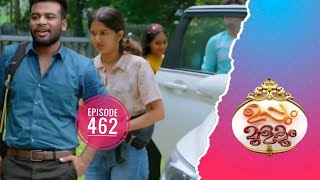 Uppum Mulakum 2  Flowers  EP 462 [upl. by Attebasile]