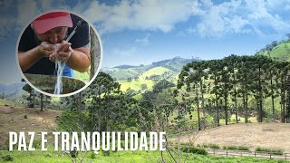 VENDIDO  PAZ E SOSSEGO POR APENAS 165 MIL REAIS TERRENO DE 2 HECTARES NA SERRA DA MANTIQUEIRA [upl. by Eilyac]