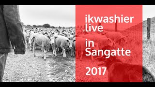 1e Transhumance de moutons Boulonnais  video 22  ikwashierlive in Sangatte  Boulonnais schaap [upl. by Ehcsrop476]