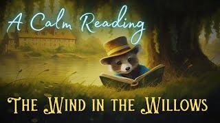 🦝 A Calm Reading of quotThe Wind in the Willowsquot  Full Audiobook for Sleep 😴 [upl. by Delmar]