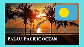 Exploring Palau Visit the City of Koror what to see [upl. by Idnem]