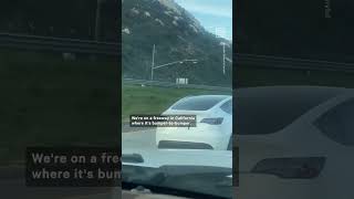 Tesla Driver Appears to Be Asleep at the Wheel on CA Freeway [upl. by Atikal]