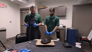 Nature Center Classroom Snake Dissection [upl. by Anreval]