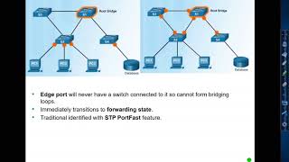 RSTP An Introduction [upl. by Armilla]