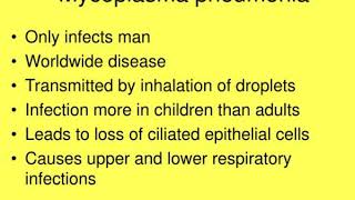 mycoplasma and ureaplasma [upl. by Feinberg655]