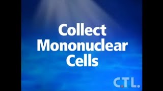 Collect Mononuclear Cells [upl. by Nytsirt567]