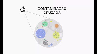 Prevenir a contaminação cruzada [upl. by Amandie903]