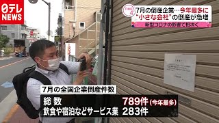 「新型コロナ」で倒産最多 “小さな会社”が急増…現地調査へ 2020年8月11日放送『news every』より [upl. by Teresa]