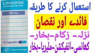 Lincoras capsule used Benefit and said affect lincomycin capsule uses in urdu and Hindi [upl. by Erihppas]