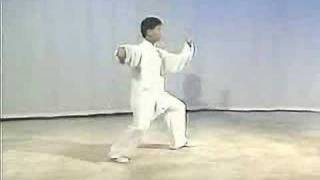 Yang Taiji Master Yang Jun  3th part of the long form 103 form 1 [upl. by Macguiness542]