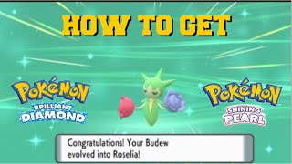 HOW TO EVOLVE BUDEW INTO ROSELIA IN POKEMON BRILLIANT DIAMOND AND SHINING PEARL [upl. by Artamas]