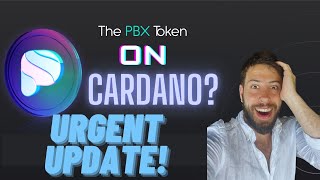 Paribus Update⚡️Is PBX Bridging to Cardano [upl. by Hobbie358]