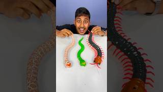 Remote Control Kankhajura and RC Snake rcsnake [upl. by Annahsat274]