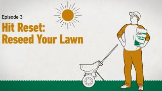 The Scotts Way How to Reseed a Lawn [upl. by Aicinet]