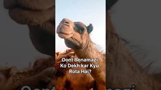 Oont Benamazi Ko dekh kar Kyu Rota Hai allah shorts [upl. by Py]