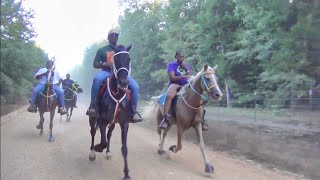 2024 Pretty Five Mares Gaited Horse Trail Ride part 3 in Ashdown Arkansas [upl. by Allisirp546]