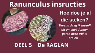 RANUNCULUS INSTRUCTIES DEEL 5 DE RAGLAN [upl. by Dnilasor]