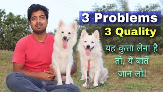 3 problems and Quality of pomeranian dog [upl. by Burck]