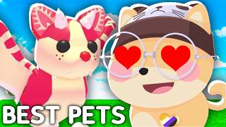 10 Most LOVED Adopt Me PETS In 2024 [upl. by Westhead749]