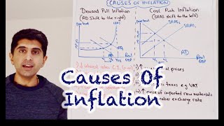 Y1 25 Causes of Inflation  Demand Pull and Cost Push Inflation [upl. by Flower]