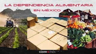 Se necesitan 20 años para revertir la dependencia alimentaria en México [upl. by Nosak]