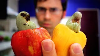 Cashews come from a fruit  Weird Fruit Explorer [upl. by Asquith]