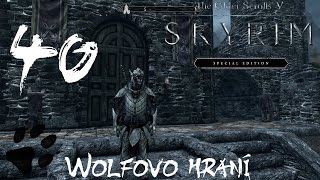 Skyrim Special Edition  40díl  Riftenský zeman  CZ Lets Play [upl. by Ingemar]