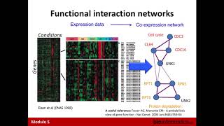 Gene Function Prediction [upl. by Ahsilem]